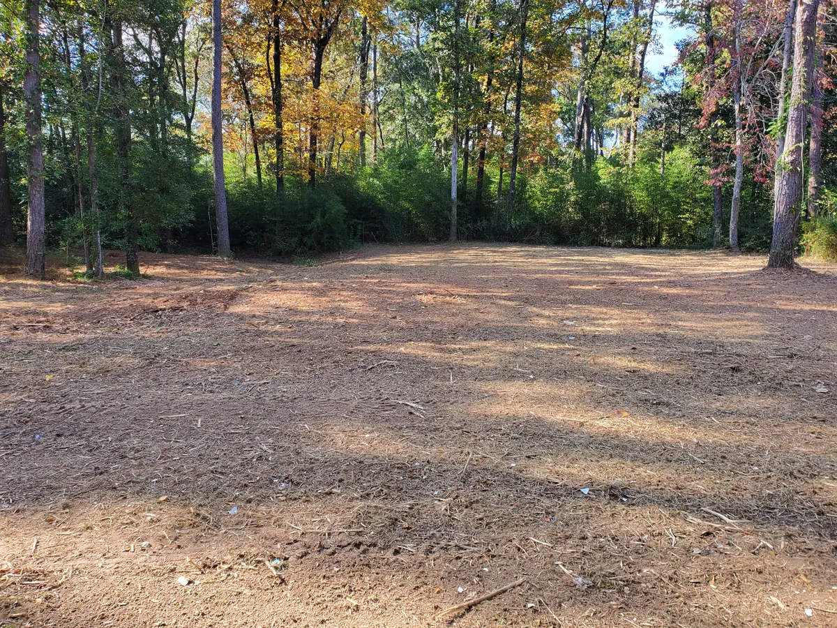 Cleared lot, open and walkable after mulching