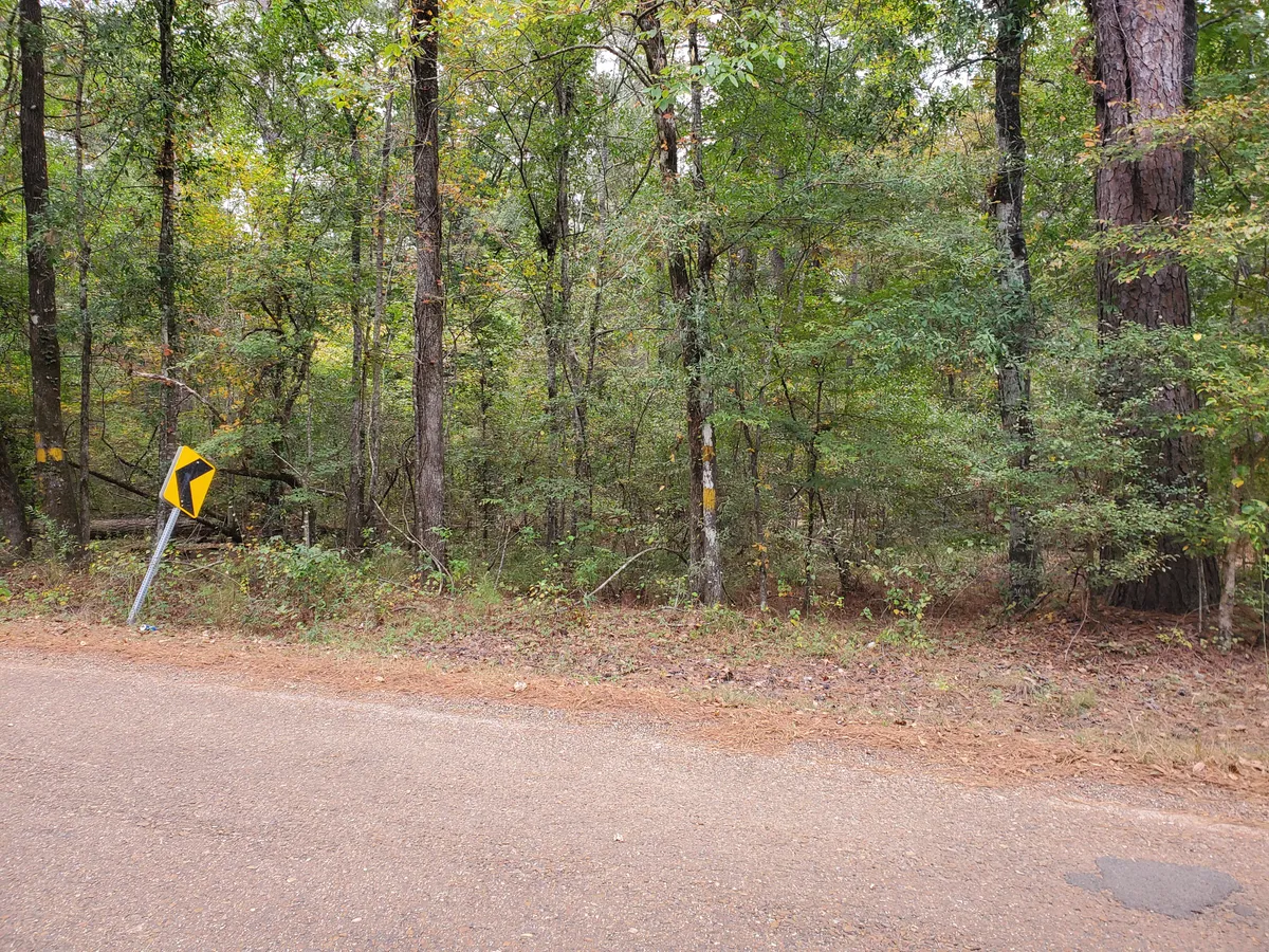 Brush line along a rural road edge before cleaning
