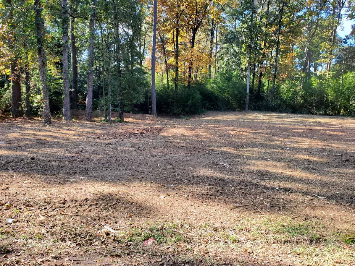 Opening cleared in the woods, ground ready for plot preparation