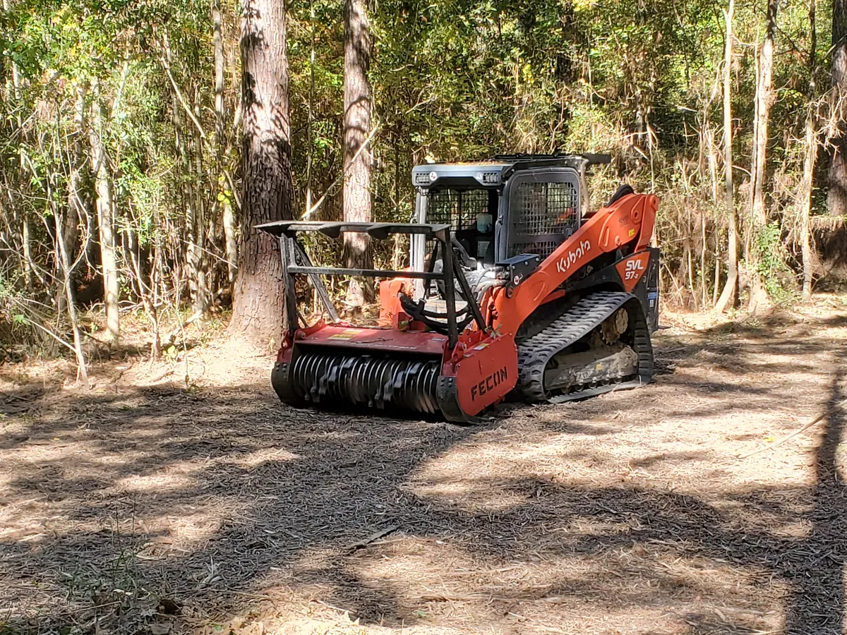Tracked mulcher grinding understory brush in a pine stand